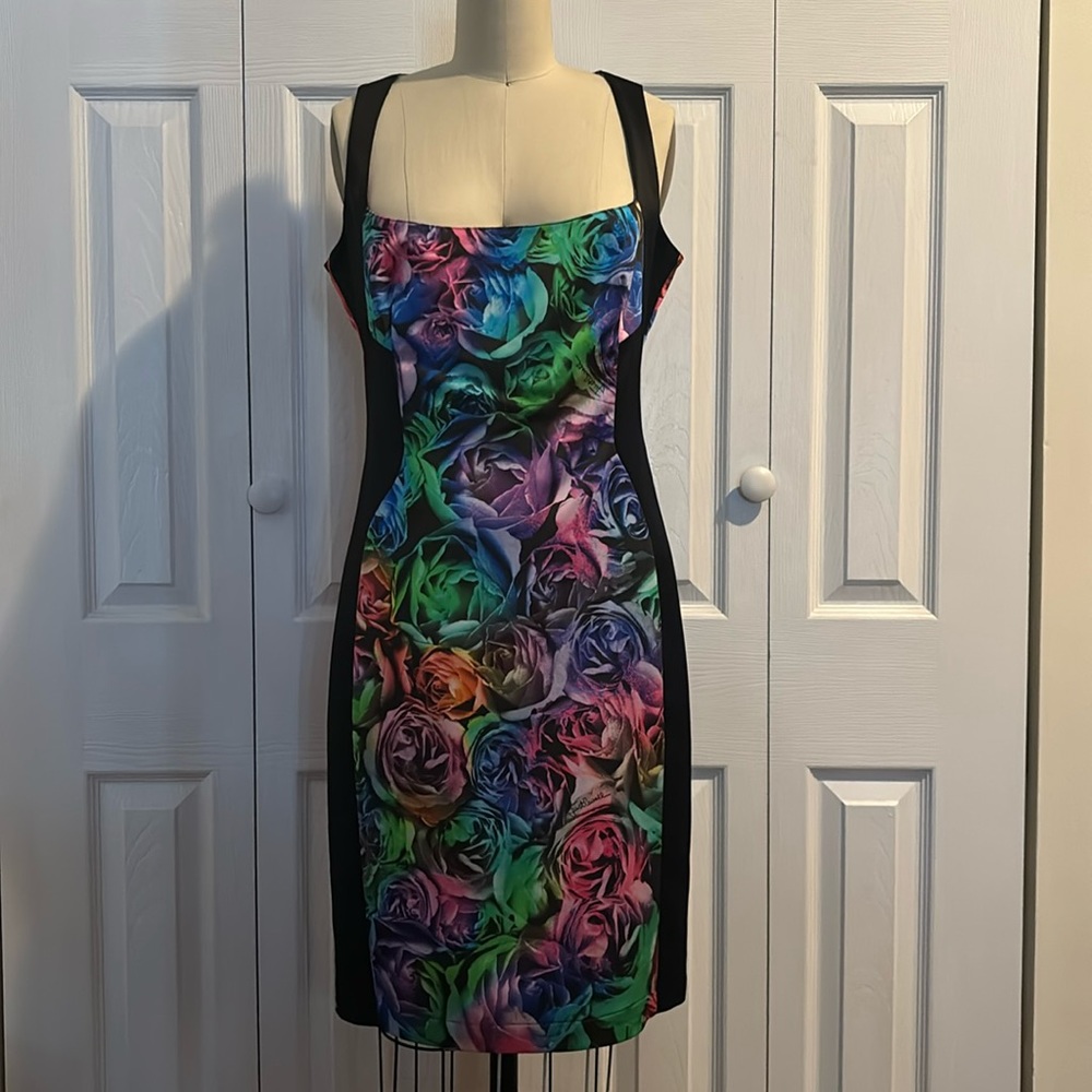 Stunning Robert Cavalli Rainbow Roses Dress